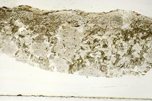 Plane Polarized, S89401