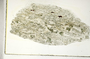 Plane Polarized, S89402