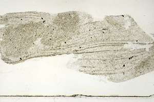 Plane Polarized, S89407