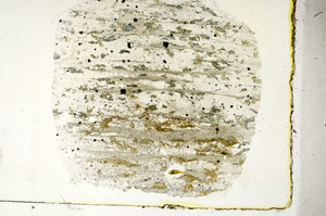 Plane Polarized, S89409