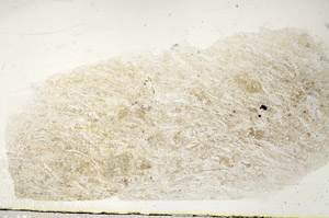 Plane Polarized, S89414