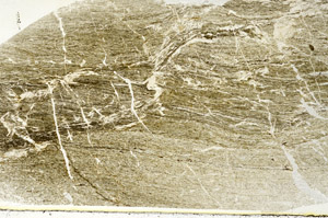 Plane Polarized, S89419
