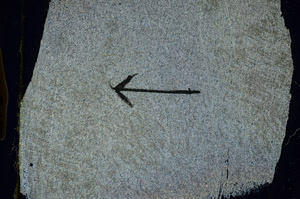 Cross Polarized, S89421
