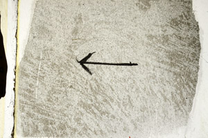 Plane Polarized, S89421