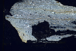 Cross Polarized, S89422