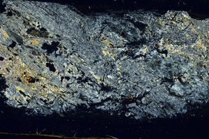 Cross Polarized, S89423
