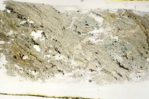 Plane Polarized, S89423