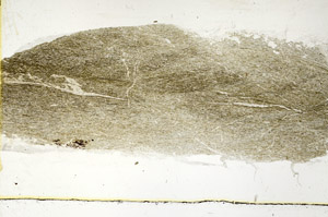 Plane Polarized, S89424
