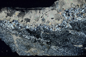 Cross Polarized, S89425