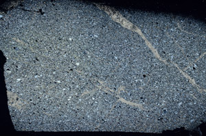 Cross Polarized, S89426