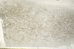 Plane Polarized, S89426