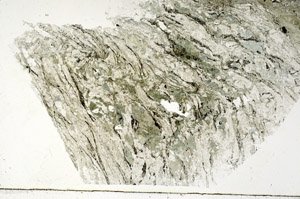 Plane Polarized, S89429