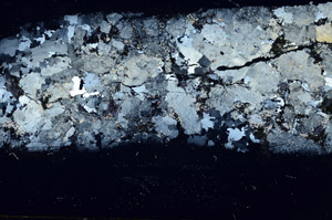Cross Polarized, S89430