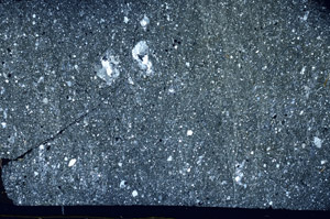 Cross Polarized, S89432
