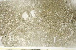 Plane Polarized, S89432