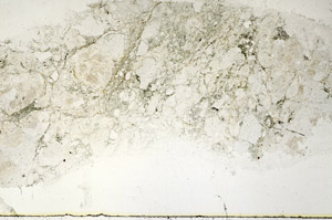 Plane Polarized, S89433