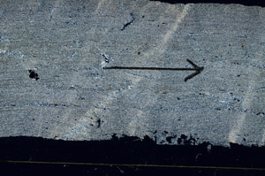 Cross Polarized, S89435