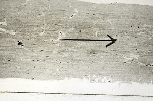 Plane Polarized, S89435