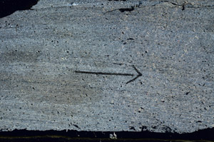 Cross Polarized, S89436