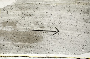 Plane Polarized, S89436