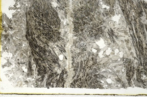Plane Polarized, S89437