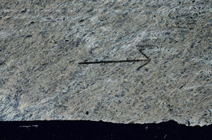 Cross Polarized, S89438