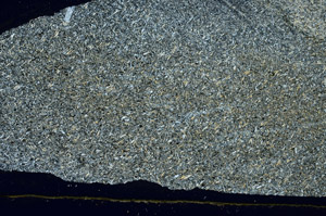 Cross Polarized, S89439