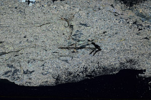 Cross Polarized, S89441