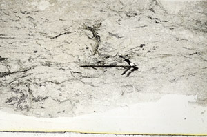 Plane Polarized, S89441