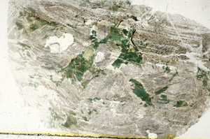 Plane Polarized, S89443