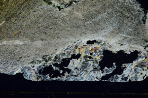 Cross Polarized, S89444