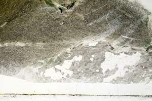 Plane Polarized, S89444