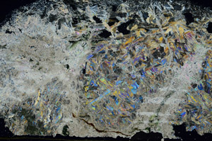 Cross Polarized, S89446