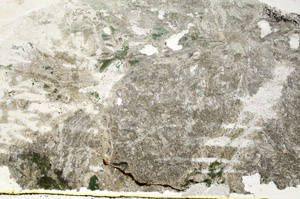 Plane Polarized, S89446