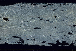 Cross Polarized, S89447
