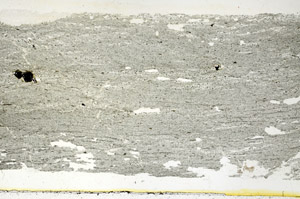 Plane Polarized, S89447