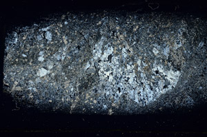 Cross Polarized, S89448