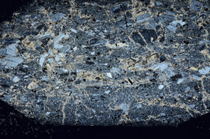 Cross Polarized, S89449