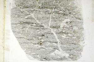 Plane Polarized, S89450