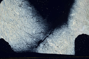 Cross Polarized, S89452