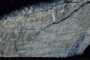 Cross Polarized, S89454
