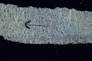 Cross Polarized, S89456