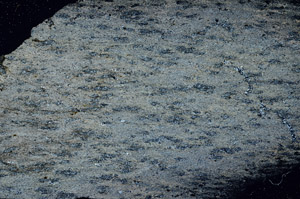 Cross Polarized, S89457