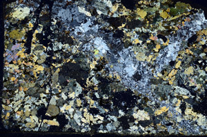 Cross Polarized, S89461