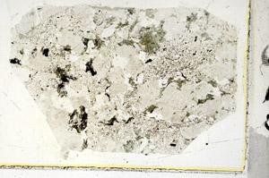 Plane Polarized, S89464