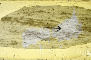 Plane Polarized, S89465
