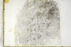 Plane Polarized, S89466