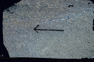 Cross Polarized, S89469