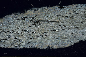 Cross Polarized, S89470
