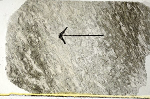 Plane Polarized, S89471